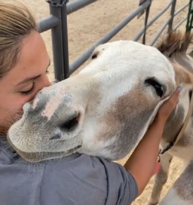 13 Pictures Showing Incredible Human-Animal Bonds
