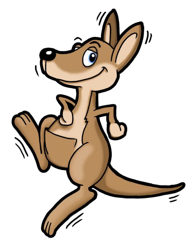 Kangaroo – The Most Aggressive Animal In The World