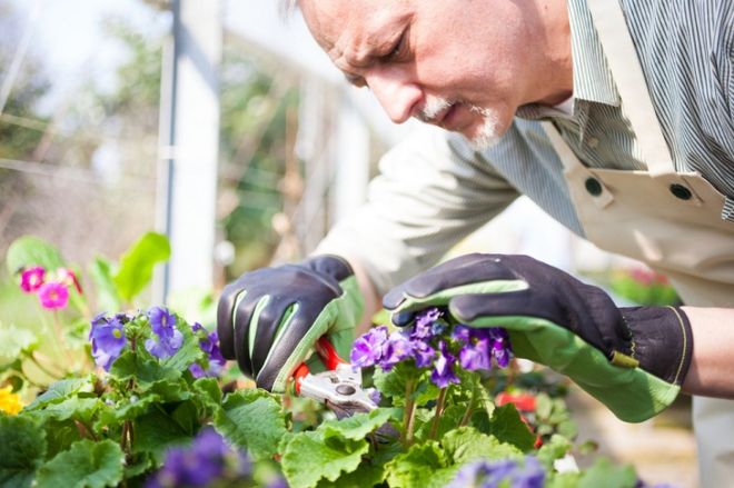 6 Useful Winter Gardening Tips For Your Plants