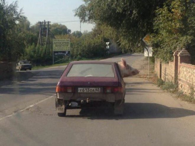 It Happens Only In Russia