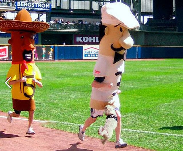 When Animals Behave Like Idiots