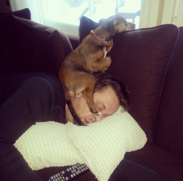 When Animals Behave Like Idiots