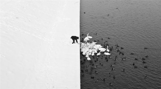 Photographing The Beautiful Winter Animals