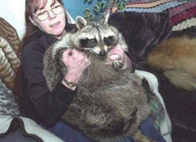 15 Pets That Grew Incredibly Large