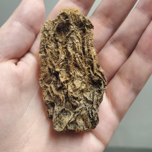 25 Interesting Photos Of The Day