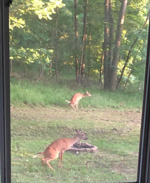 25 Interesting Photos Of The Day