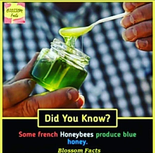 7 Apps You Must Never Install On Your Smartphone