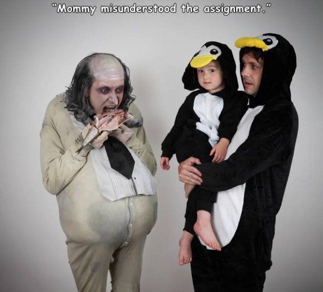 Funny Mix Pictures To Make Your Day