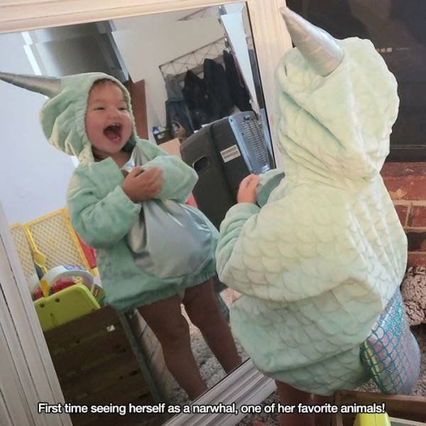 Funny Mix Pictures To Make Your Day