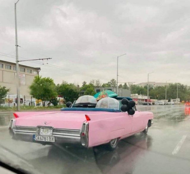 Funny Mix Pictures To Make Your Day