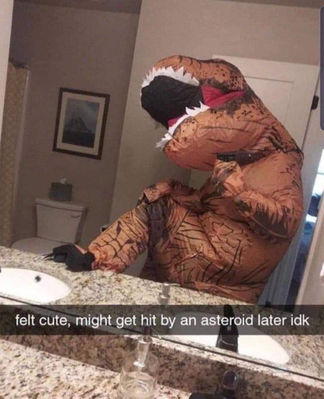 Funny Mix Pictures To Make Your Day