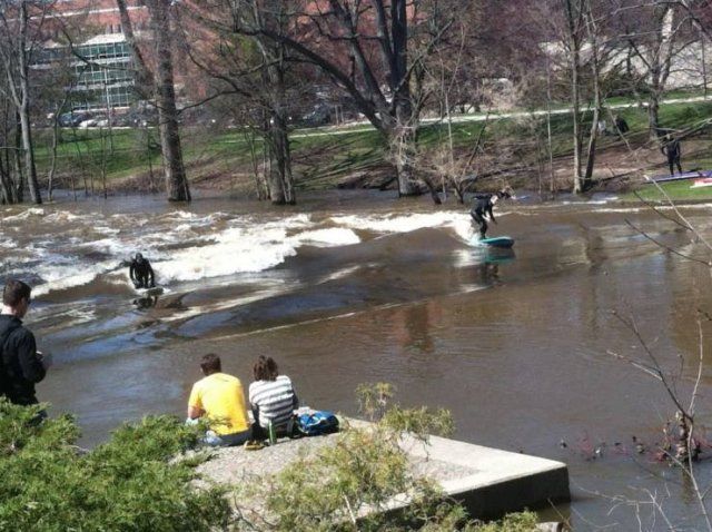 Funny Mix Pictures To Make Your Day