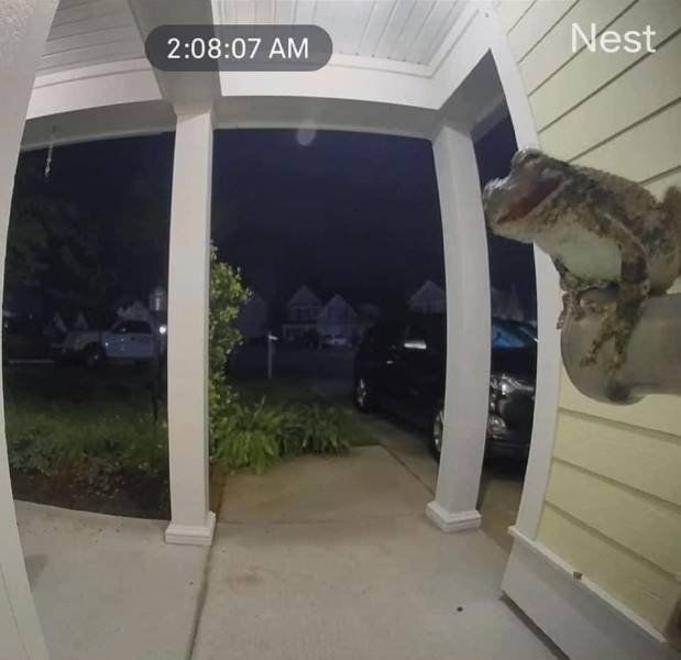 Funny Mix Pictures To Make Your Day