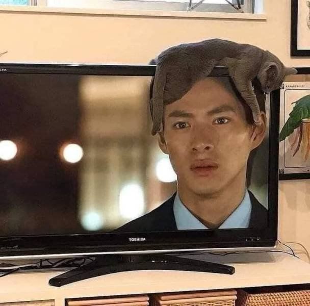 Funny Mix Pictures To Make Your Day