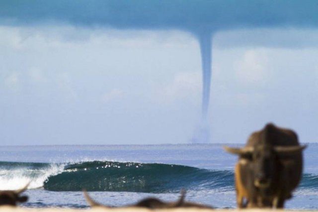 Funny Mix Pictures To Make Your Day