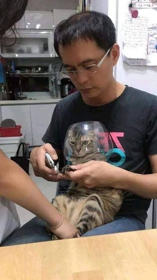 Funny Mix Pictures To Make Your Day