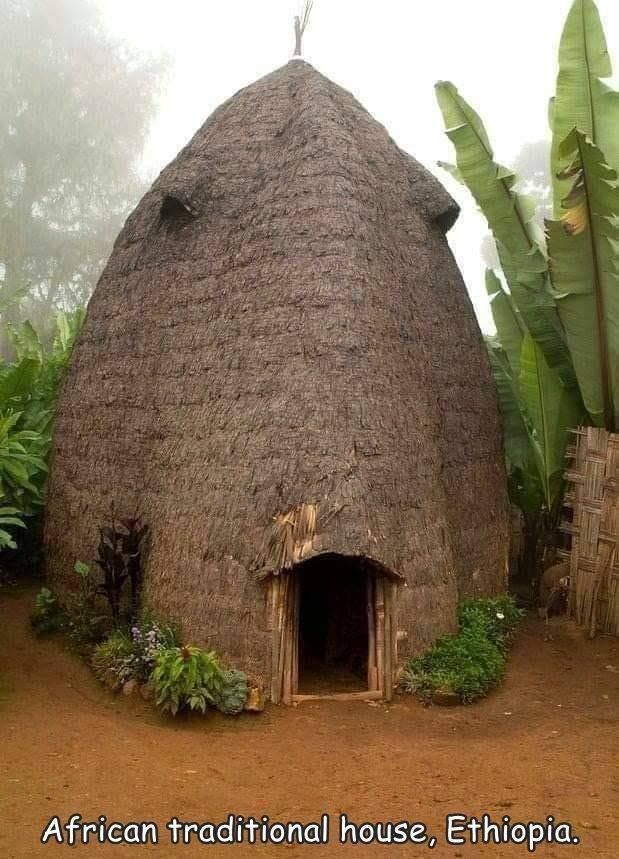 Funny Mix Pictures To Make Your Day