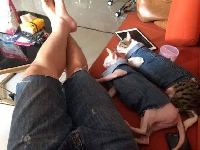 Funny Mix Pictures To Make Your Day