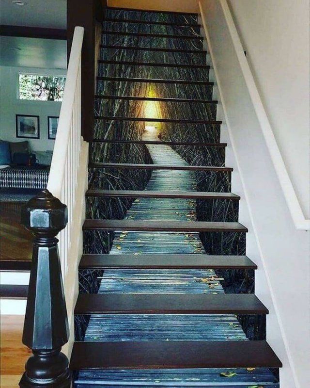 Funny Mix Pictures To Make Your Day