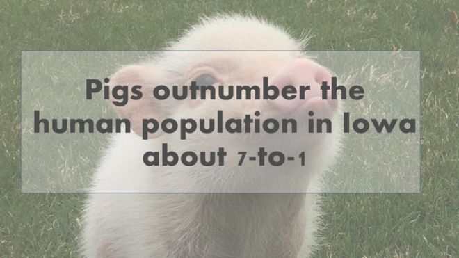 One Most Fascinating Fact From Every State In The USA