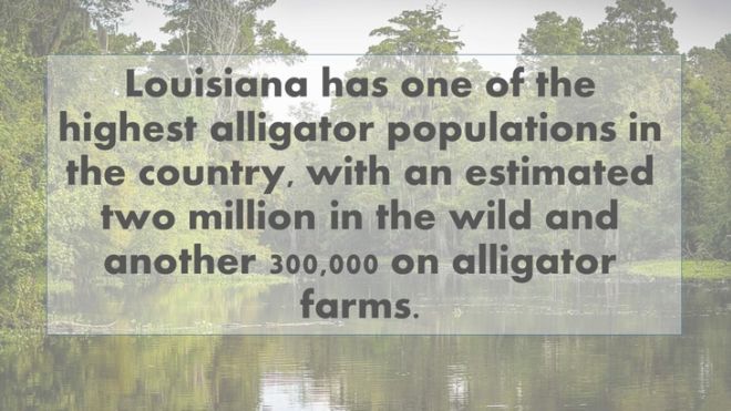 One Most Fascinating Fact From Every State In The USA