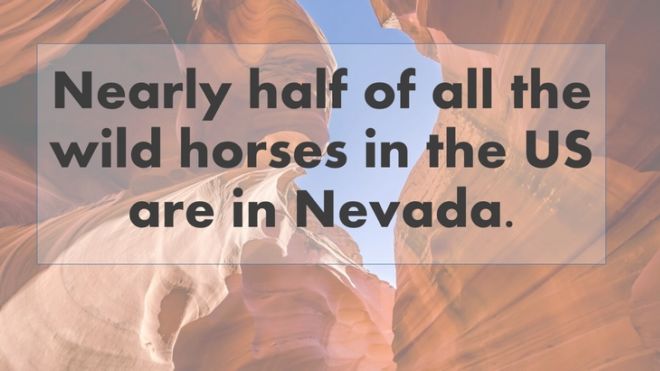 One Most Fascinating Fact From Every State In The USA