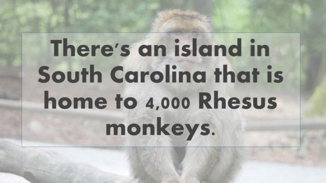 One Most Fascinating Fact From Every State In The USA