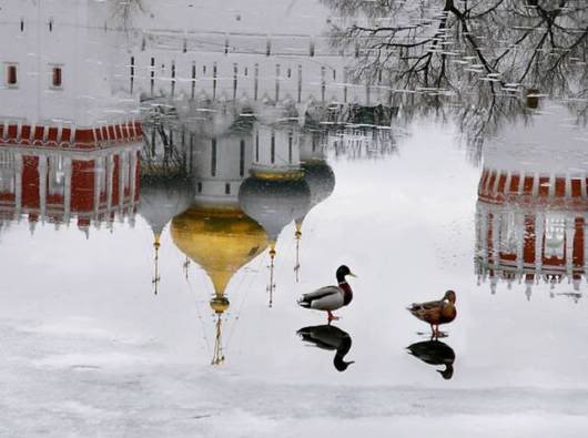 Sheer Beautiful Pictures to Cheer You Up