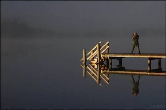 Sheer Beautiful Pictures to Cheer You Up