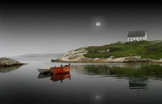 Sheer Beautiful Pictures to Cheer You Up