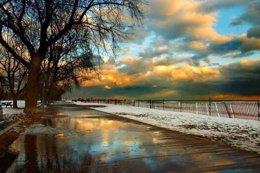 Sheer Beautiful Pictures to Cheer You Up