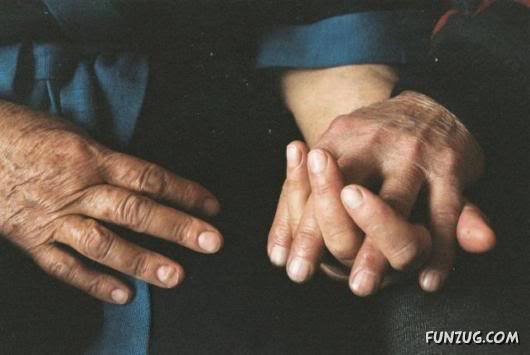 Most Hardworking Hands