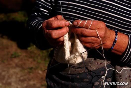 Most Hardworking Hands