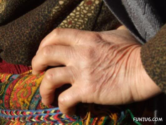 Most Hardworking Hands