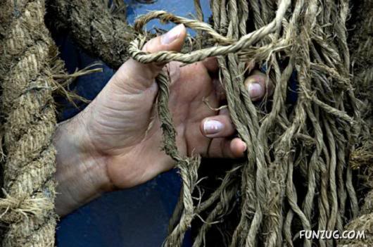 Most Hardworking Hands