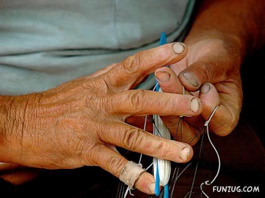 Most Hardworking Hands