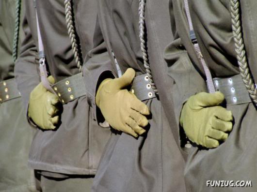 Most Hardworking Hands