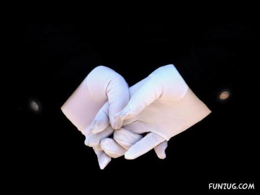 Most Hardworking Hands