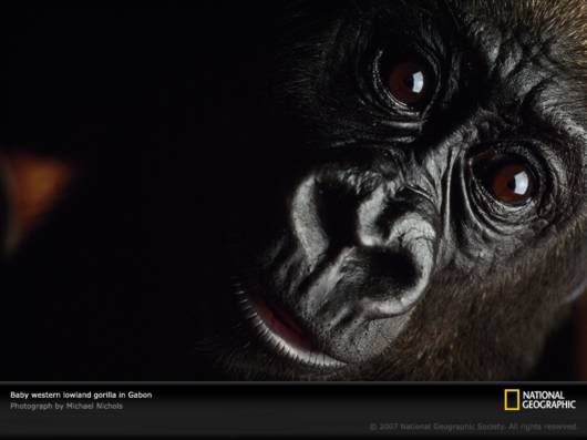 Amazing Net Geo Photos of the Day