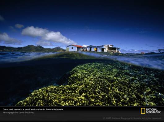 Amazing Net Geo Photos of the Day