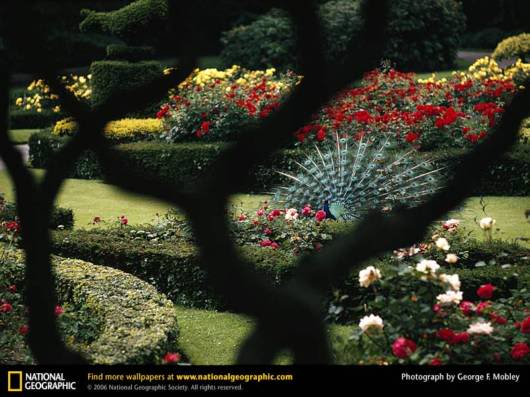 Amazing Net Geo Photos of the Day