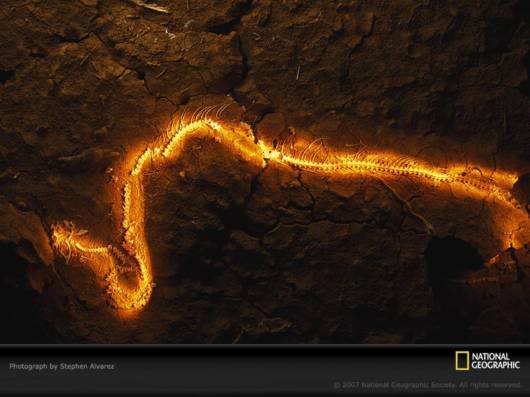 Amazing Net Geo Photos of the Day