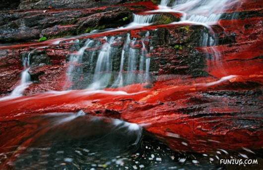 Red: An Integral Part of Human Emotion