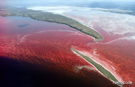 Red: An Integral Part of Human Emotion