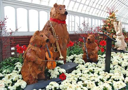 Spot The Differences in These Pictures