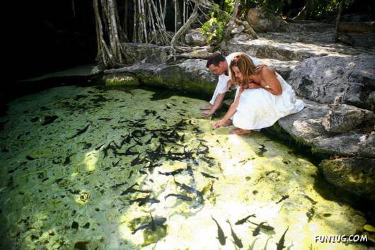 Those Were the Sweet Wedding Days