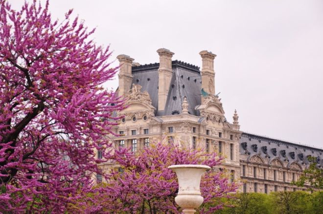 15 Most Beautiful Pictures From The Spring Season