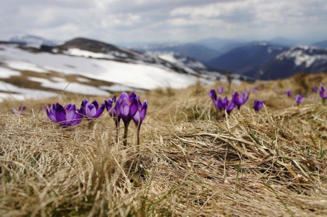 15 Most Beautiful Pictures From The Spring Season