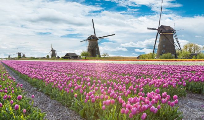 15 Most Beautiful Pictures From The Spring Season
