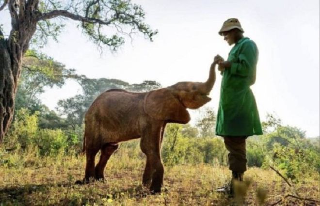 20 Wonderful Pictures That Reveal The Treasures Of Nature